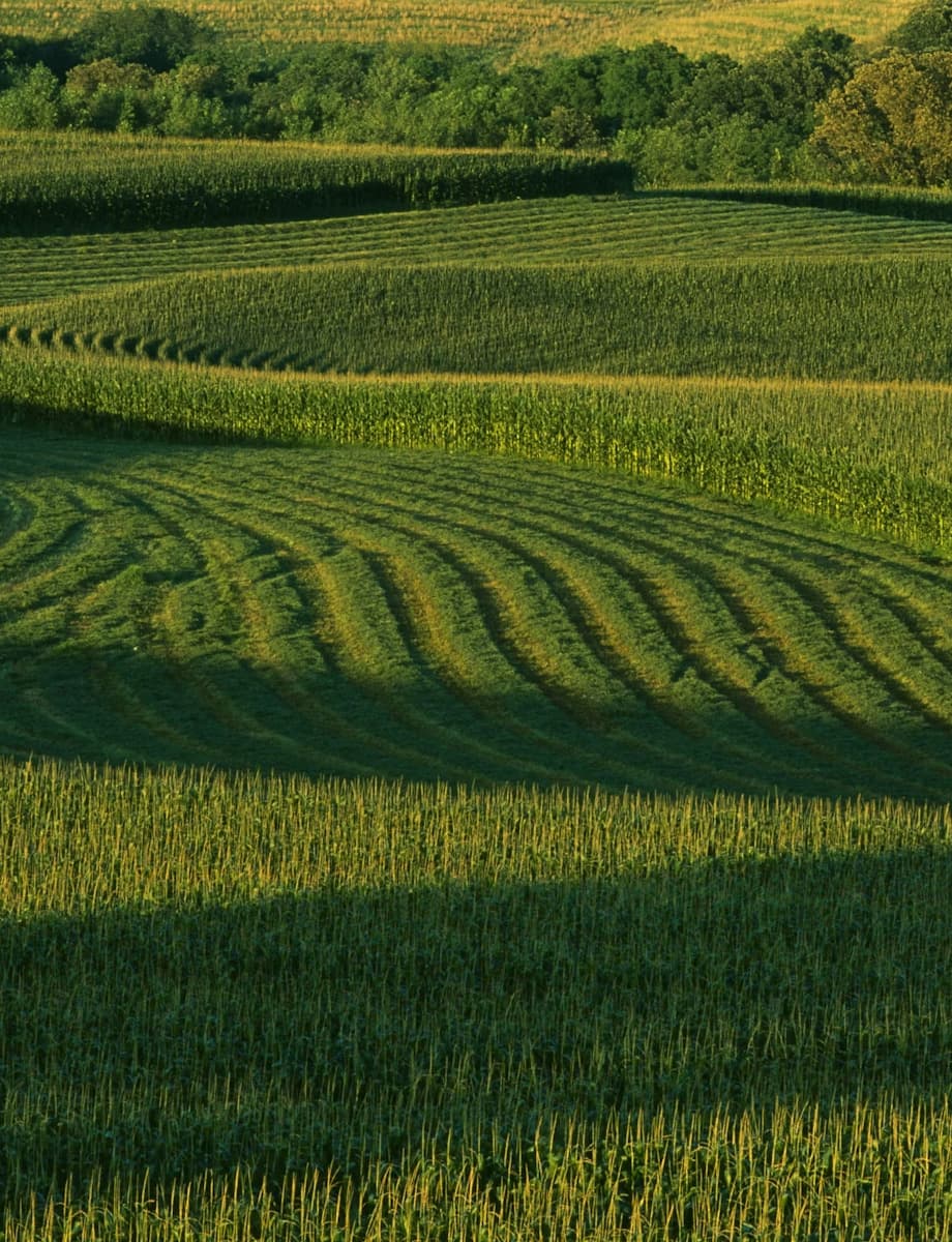 Sound Agriculture